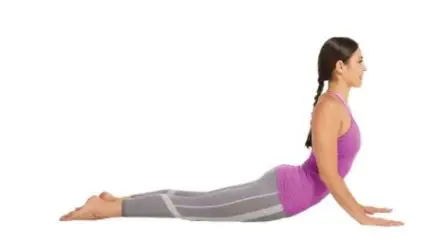 prone on hand exercise