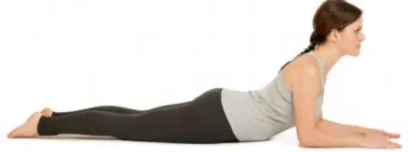 prone on elbow