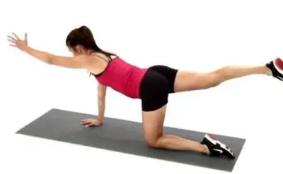 Physiotherapy for Low Back Pain