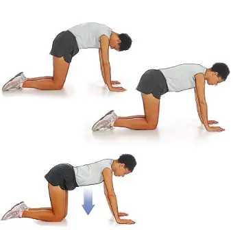 cat camel exercise