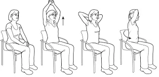thoracic expansion exercise